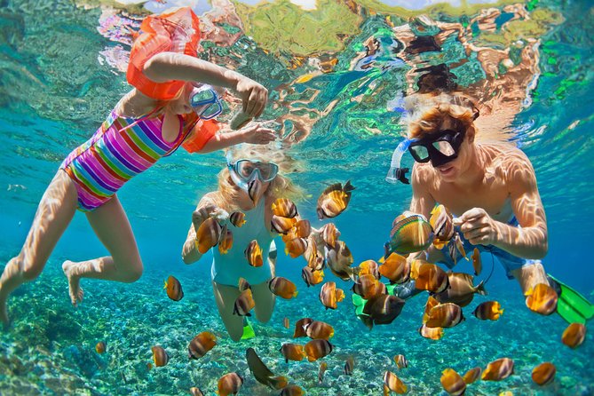 50' Luxury Yacht. Private Full or Half Day Catamaran Snorkel, & Beach Experience - Choosing between four hours and seven