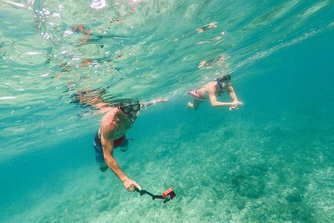 Admission Ticket to Coral World & Coki Point Beach with Snorkeling - Coki Point Beach: clear water and an easy first swim