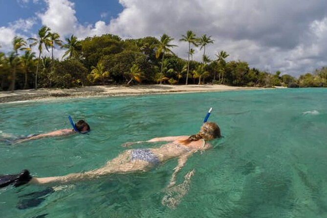 Admission Ticket to Coral World & Coki Point Beach with Snorkeling - The snorkeling problem you should not ignore