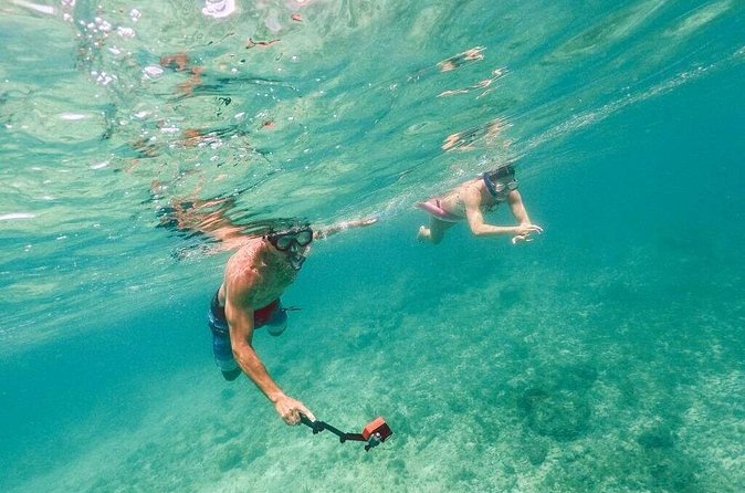 Admission Ticket to Coral World & Coki Point Beach with Snorkeling - How to shape your two to eight hours