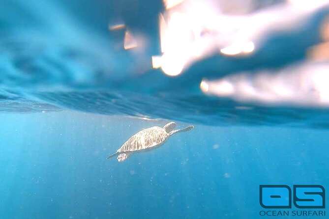 Afternoon Snorkel, Pizza & Sunset Tour departing from St. Thomas & St. John - What the first snorkel stop is like