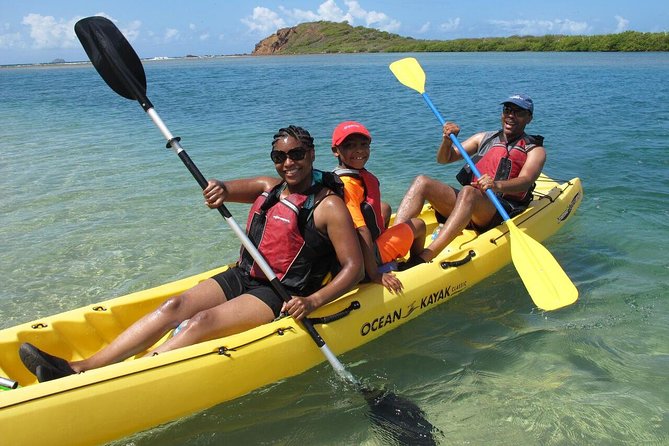 Best of Mangrove Lagoon Kayak, Hike and Snorkel Adventure with Picnic Lunch - The four things to know before you book