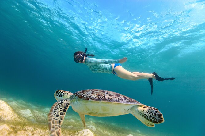 Best of Mangrove Lagoon Kayak, Hike and Snorkel Adventure with Picnic Lunch - Why this five-hour St. Thomas adventure works