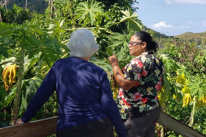Book Your Private Two and a Half Hour Island Tour today! - Getting your bearings on St. John