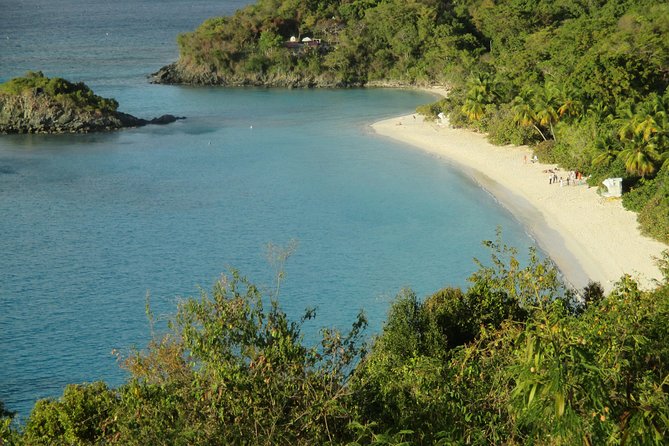 Budget Trunk Bay Beach with Scenic Stops - Why Trunk Bay earns the full day-trip treatment