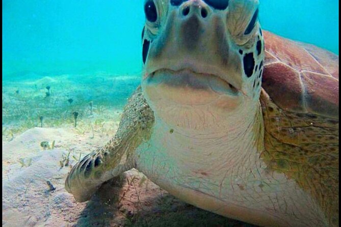Cas Cay - Kayak Hike and Snorkel Adventure - What the $99 price really covers