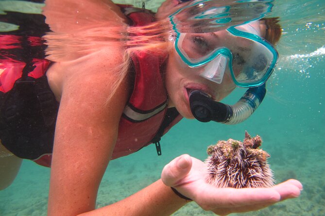 Cas Cay - Kayak Hike and Snorkel Adventure - Who should book this Cas Cay outing?