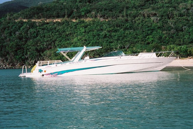 Cocktail Sunset Cruise from Sapphire Beach Resort - Music, commentary, and the mood on board