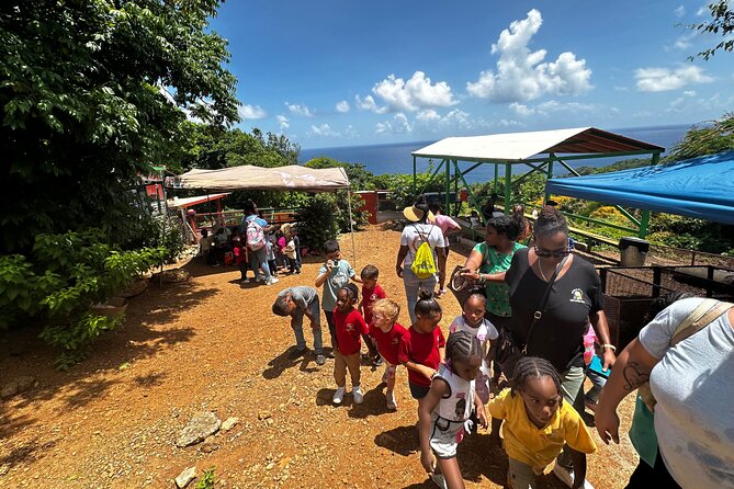 Connors Farms Petting Zoo - Meeting the animals on St Thomas