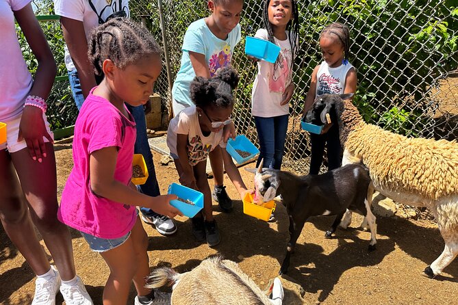 Connors Farms Petting Zoo - Who will enjoy Connors Farms most