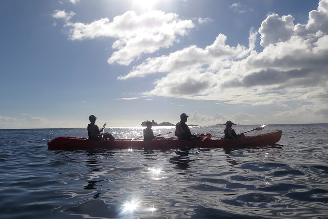 Coral Reef and Turtle Discovery Tour - Kayaking St Thomas waters at a gentle pace