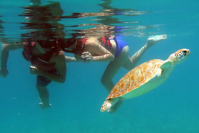 Coral Reef and Turtle Kayak Excursion - Paddling to the secluded coral reef