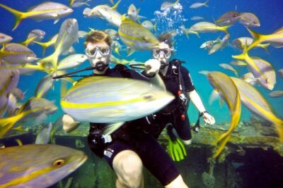 Discover Scuba Diving with No Certification in St Thomas