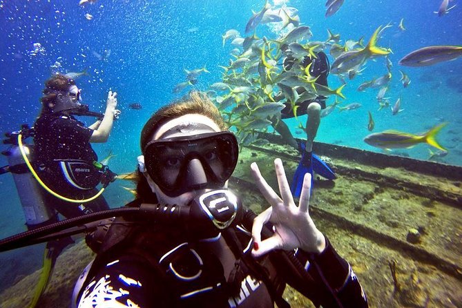 Discover Scuba Diving with No Certification in St Thomas - Who will enjoy it most