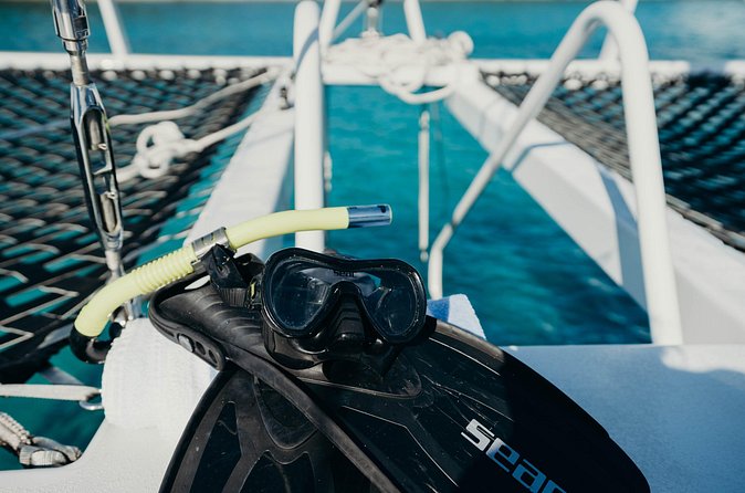Discover the Best of St. John - Snorkel, Beach & Shopping! - Snorkeling in Virgin Islands National Park