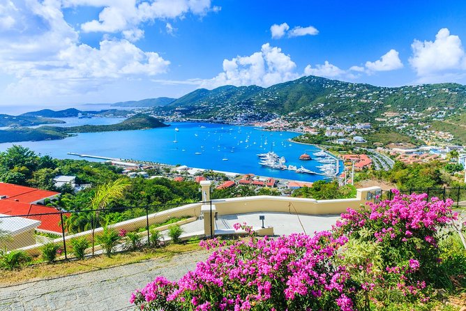 Flavors of St Thomas Walking Food Tour - Meeting Fort Christian at 11:00 a.m.