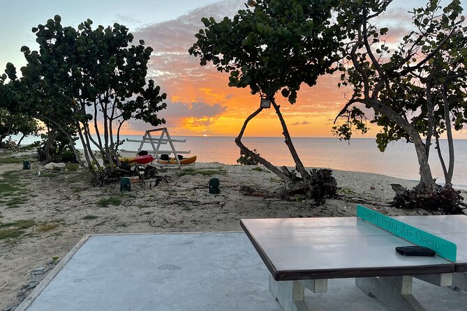 Frederiksted Moke Tour - Who will enjoy it most