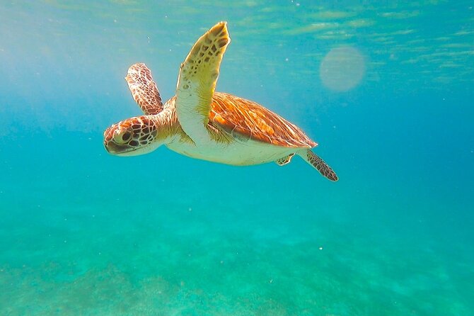 Full-Day Sailing Tour in Virgin Islands National Park - Who should book this outing