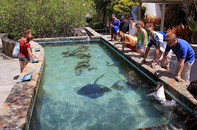 Guided Tour of Coral World Ocean Park & Happy Hour - Happy hour sounds good, but verify what is included