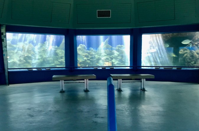 Guided Tour of Coral World Ocean Park & Happy Hour - Should you book Coral World after hours?