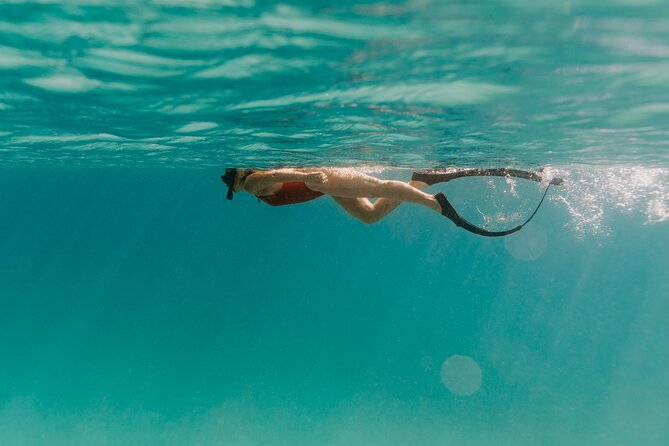 Half Day Boat Charter around the Islands of St Thomas and St John - What the Captains Add to the Day
