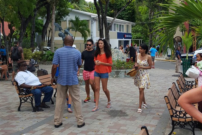 Half-Day Excursion to Trunk Bay Beach - What the driver and guide service really includes