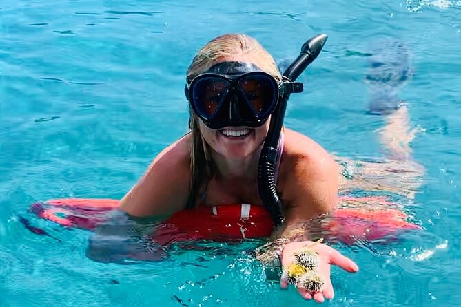 Half Day Luxury Catamaran Turtle Snorkel And Beach - Quick Takeaways