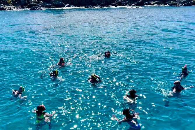 Half Day Luxury Catamaran Turtle Snorkel And Beach - Setting Out From Yacht Haven Grande