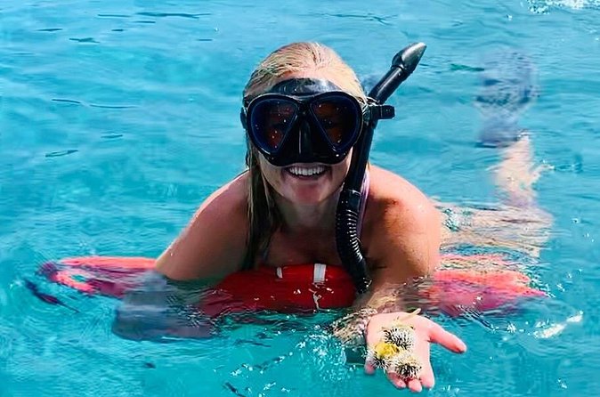 Half Day Luxury Catamaran Turtle Snorkel And Beach - From Salt Water to Snacks and Drinks