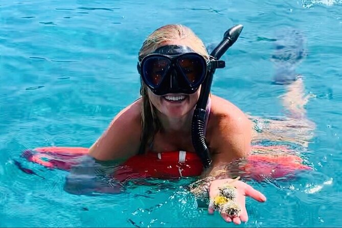 Half Day Luxury Catamaran Turtle Snorkel And Beach - Turtle Cove and Buck Island National Wildlife Refuge