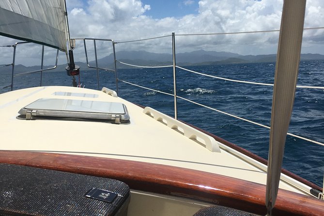 Half Day Sail and Snorkel with the Turtles - Key points to know before booking
