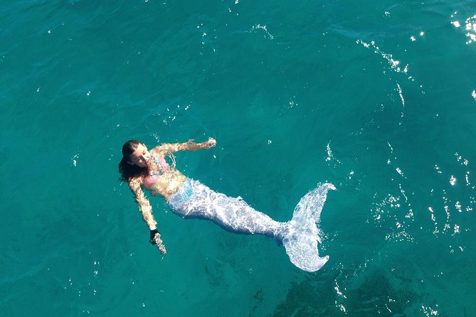 Half Day Sail and Snorkel with the Turtles - A snorkeling stop built around comfort and safety