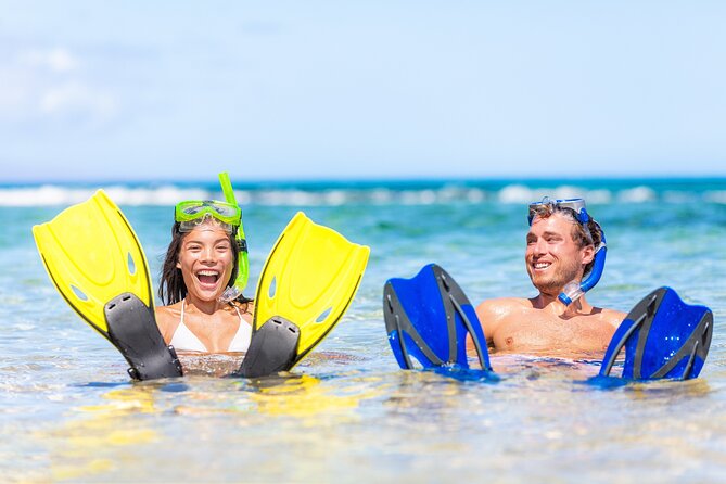 Half Day Snorkeling Tour from Margaritaville - Snacks, drinks, and the open bar