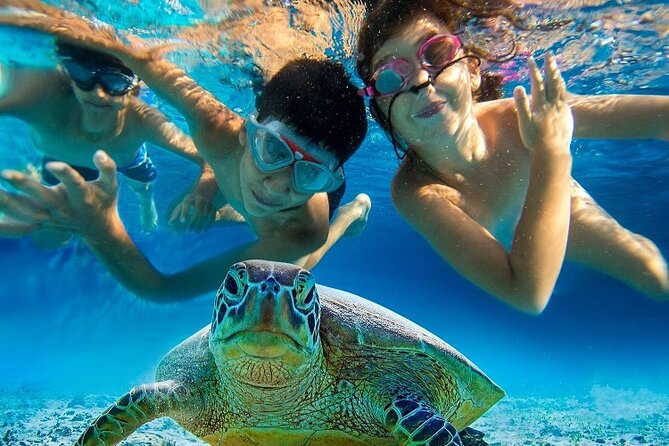 Half Day Snorkeling Tour from Margaritaville - Is $132 a fair price?