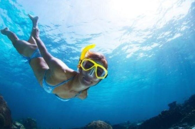 Half Day Snorkeling Tour from Margaritaville - Who should choose this outing