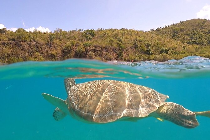 Half or Full-Day Private Boat Charter from St. John or St. Thomas - Key points to know before booking