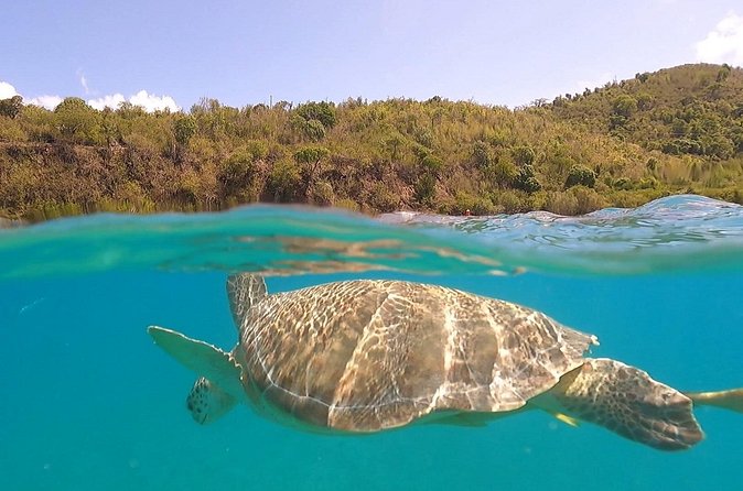 Half or Full-Day Private Boat Charter from St. John or St. Thomas - Snorkeling, equipment, and safety