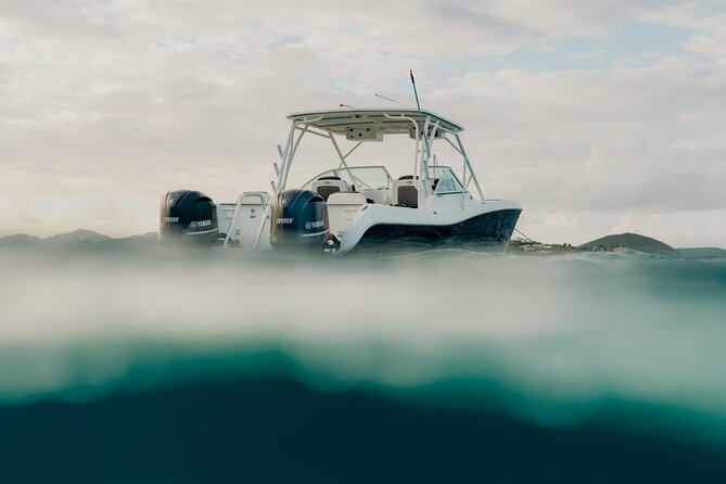 Half or Full-Day Private Boat Charter from St. John or St. Thomas - Is $795 a good value?
