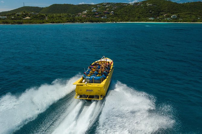 High Speed Harbor Tour from Charlotte Amalie Cruise Port - Why the Cruise Port Meeting Point Matters