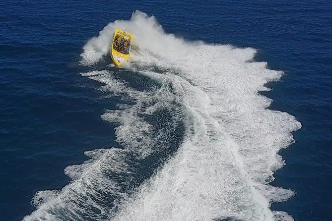High Speed Harbor Tour from Charlotte Amalie Cruise Port - What Happens During the 40-Minute Ride