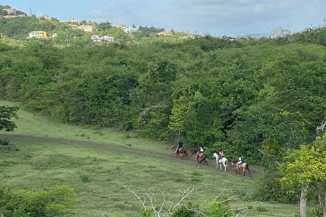 Horseback Riding Experience - Meeting Nick, Folksy, and the Horses