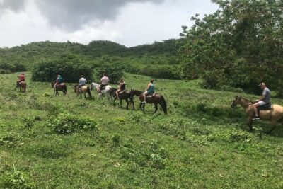 Horseback Riding Experience