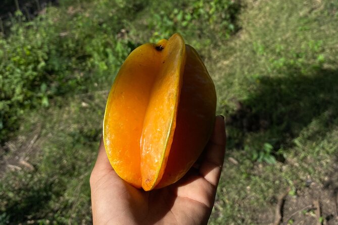 Horseback Riding Experience - Local Fruit, Animals, and Small Details