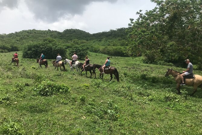 Horseback Riding Experience - What the First Few Minutes Feel Like
