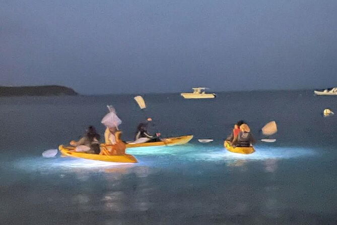 Illuminated Night Kayaking at the Elysian Resort - Why nighttime kayaking feels different in St. Thomas