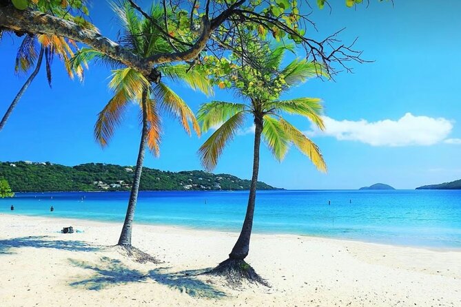 Island Buggy Excursions - Brewer’s Bay for swimming and sea turtles