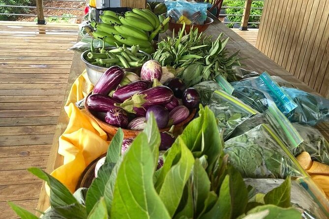 Island Eco Farm Tour with Local Treats and Sapphire Beach Time - The transportation detail that can shape your day