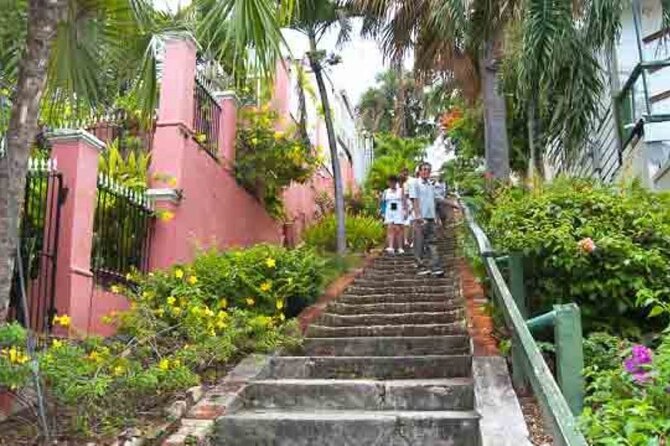 Island Icons & Treasures Tour - St. Thomas USVI - Weather, cancellation, and practical limits