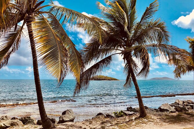 Island Life Jeep Tours - Your Day Your Way Private Excursion! - Who Should Book This Private Jeep Tour?