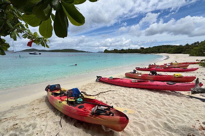 Kayak & Snorkel with Sea Turtles, National Park, St. John - What the guides add to the day